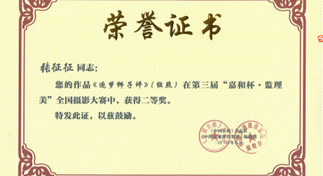 喜讯！公司员工取得“全国摄影大赛二等奖”