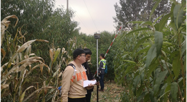 交通规划设计一院参与G309（胶州即墨界至S219段）新改建工程初步设计工作